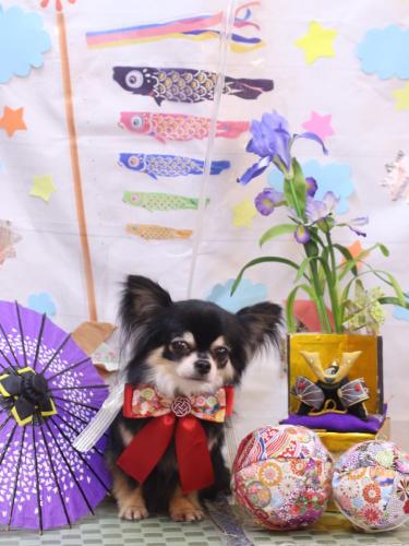 20240519アリューくん